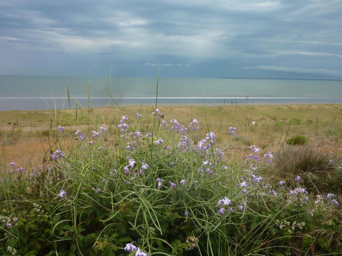 مبيت وإفطار سانت ميشيل تشيف تشيف Chambre D'Hotes La Dune - Face Mer المظهر الخارجي الصورة